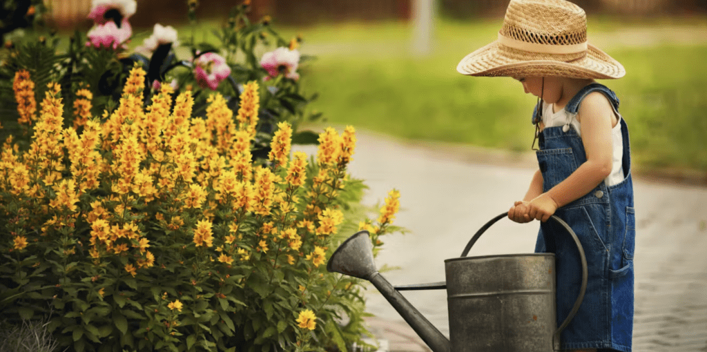 Child in overalls and straw hat watering flowers with a large watering can.