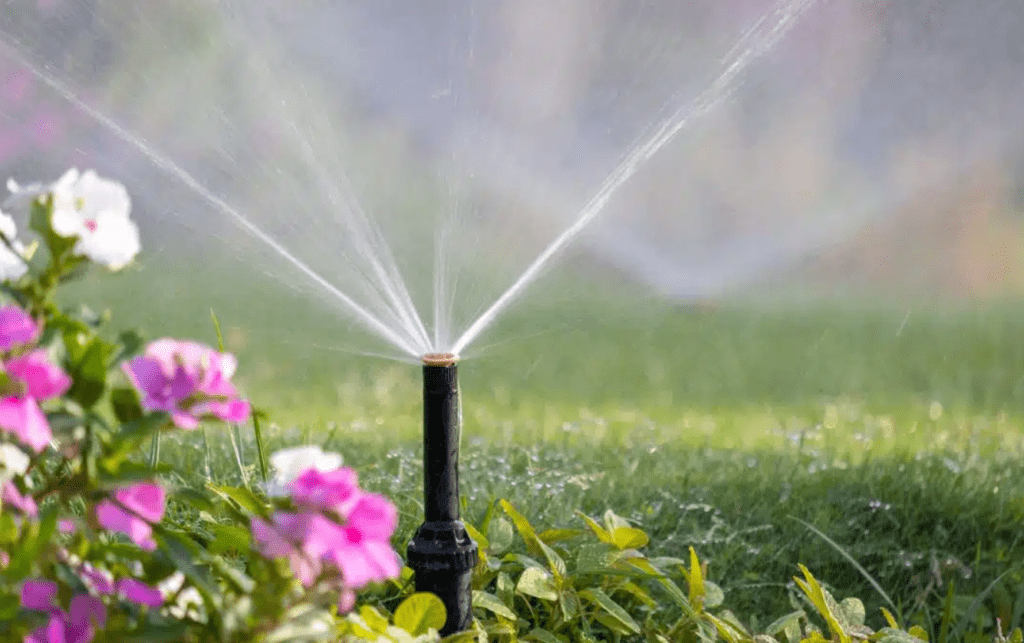 Sprinkler watering a lush garden with sunlight enhancing the water droplets.