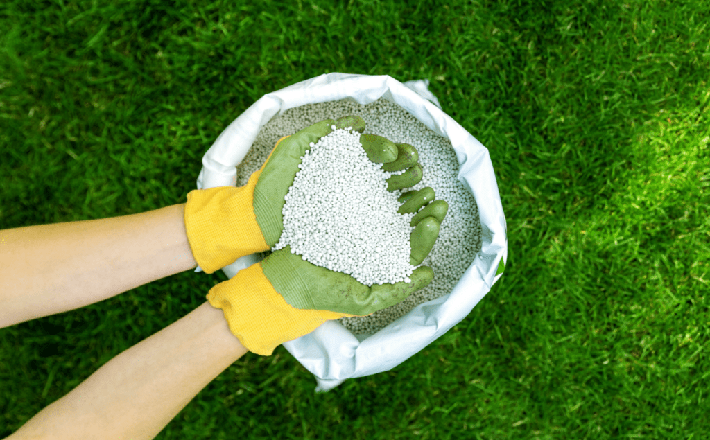 Hands in yellow gloves holding white fertilizer granules over a bag, with green grass in the background.