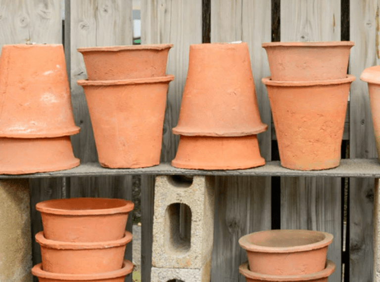 Selecting the Right Pots for Dahlias