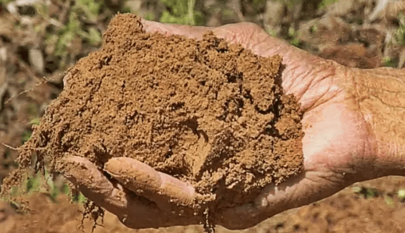 Soil Requirements