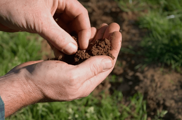 Soil Requirements