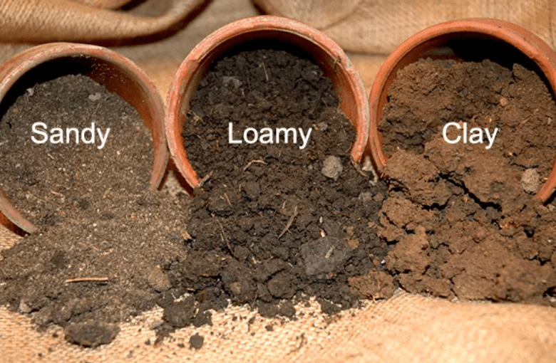 Soil Type