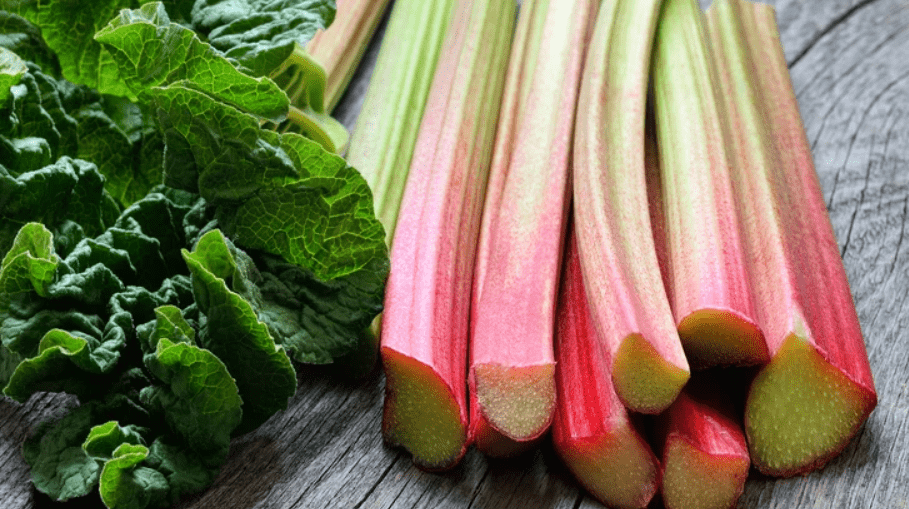 Toxicity of Rhubarb Leaves