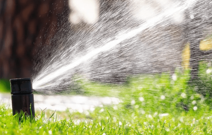 Watering and Irrigation