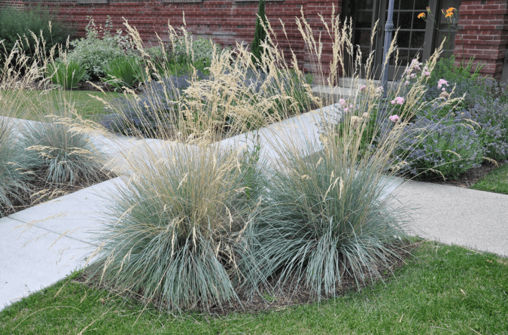 Landscaped garden with ornamental grasses, flowering plants, and a brick wall.