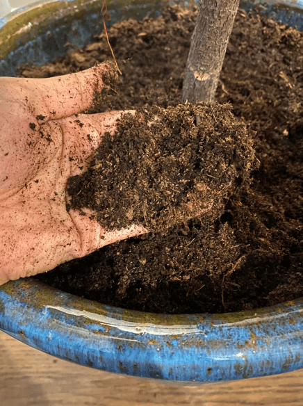 soil drainage