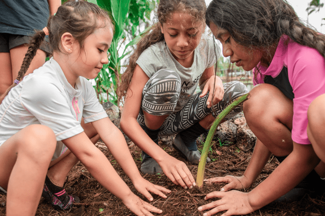 Planting the Keiki