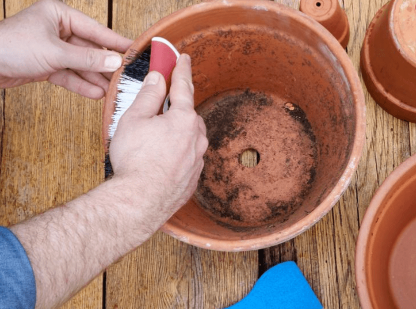 Preparing the Pot