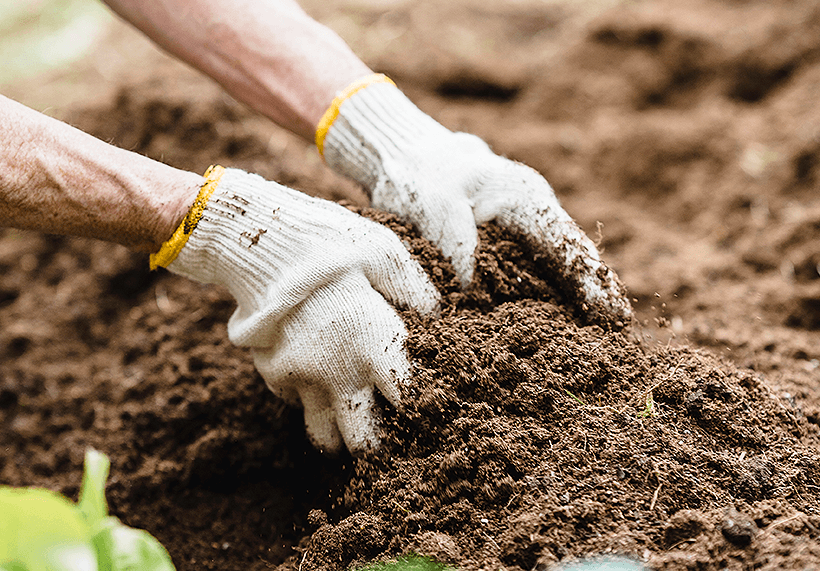 Preparing the Soil