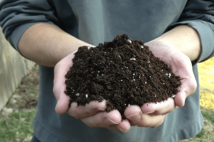  Preparing the soil