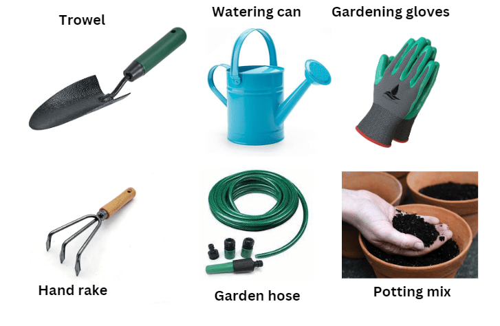 Tools and materials needed for planting 