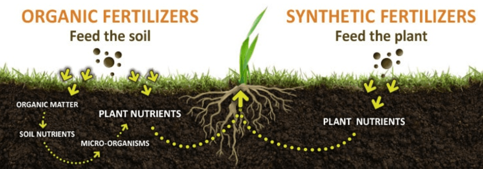 Organic vs. synthetic options.