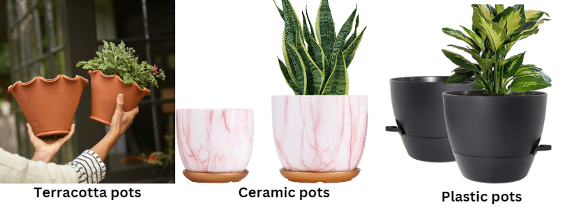 Selecting the Right Pot