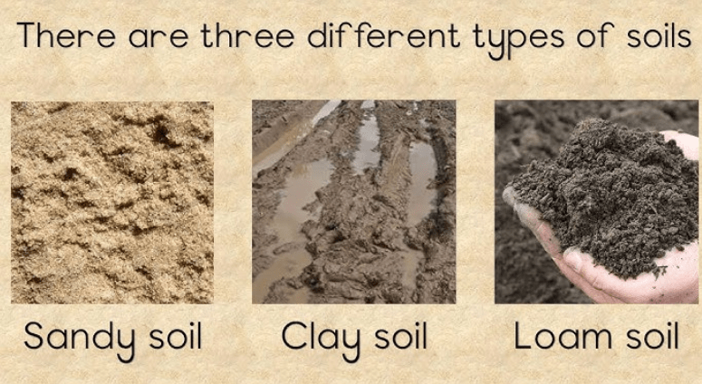 Soil Preferences 