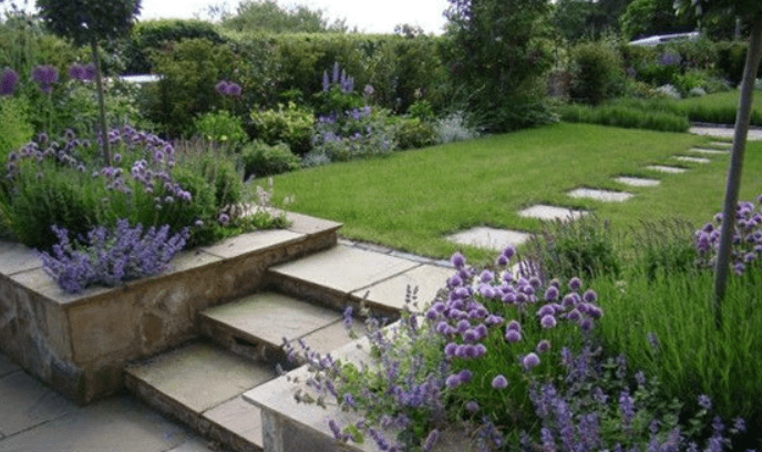  Integrating Soleirolia in different garden styles