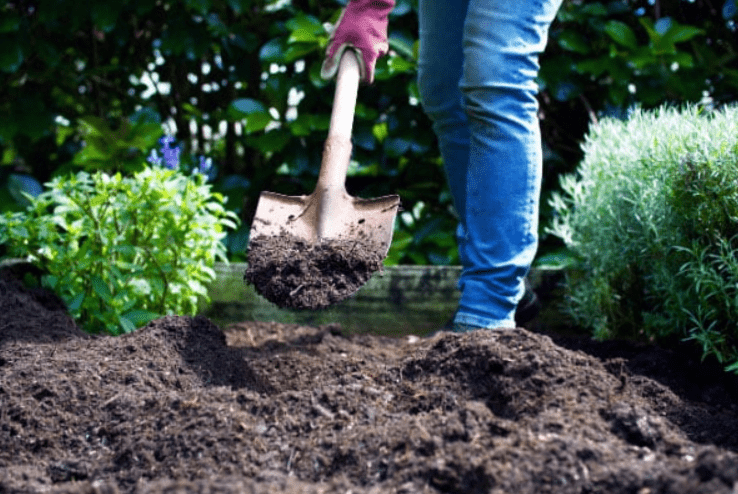 Preparing the Soil