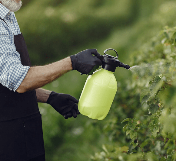 Protecting thrift from pests and diseases 