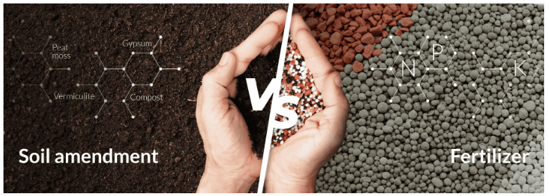 Soil amendments and fertilization