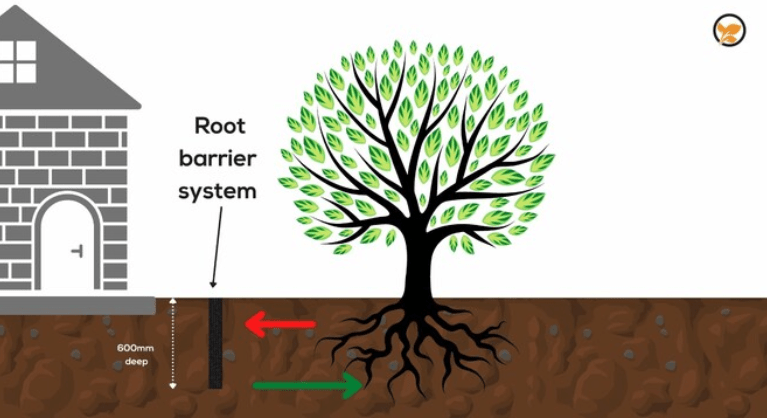  Root barriers 