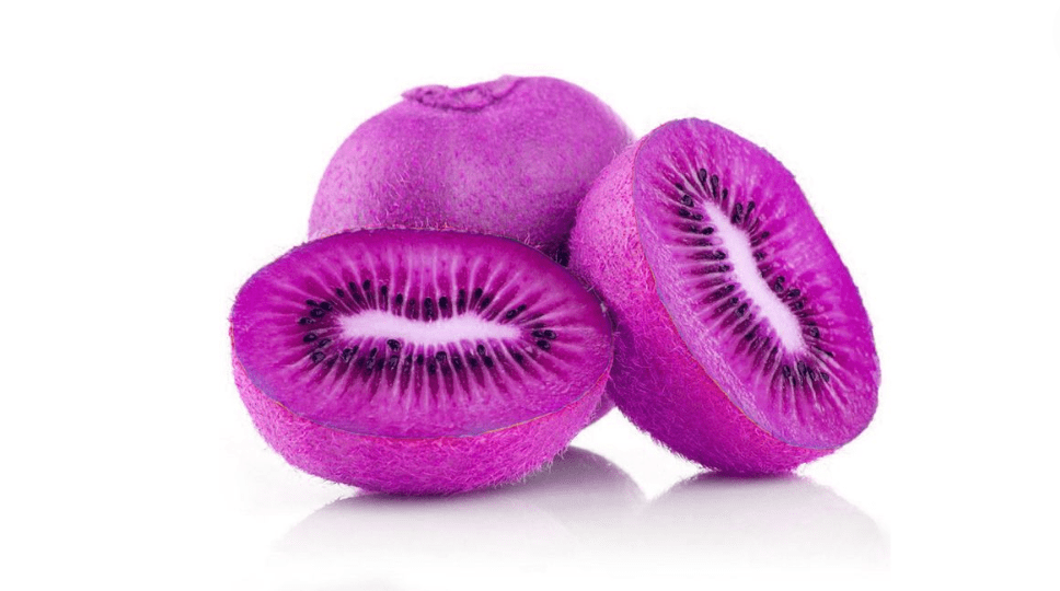 Purple Kiwi Tree