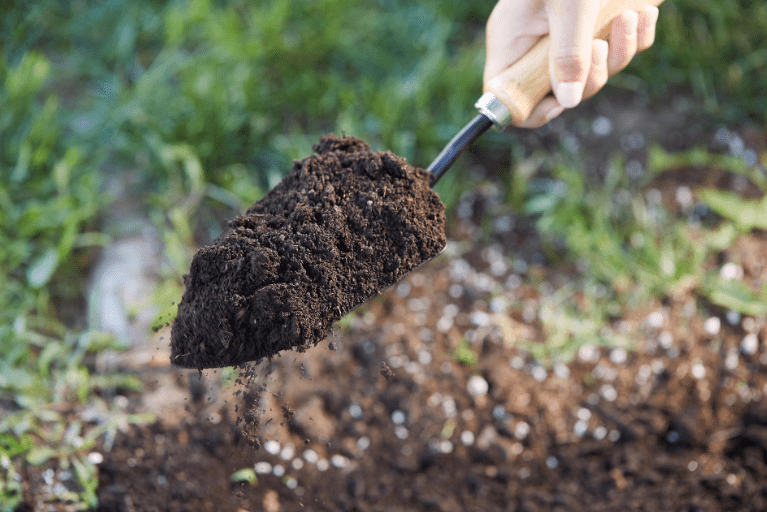 Selecting the Right Soil 