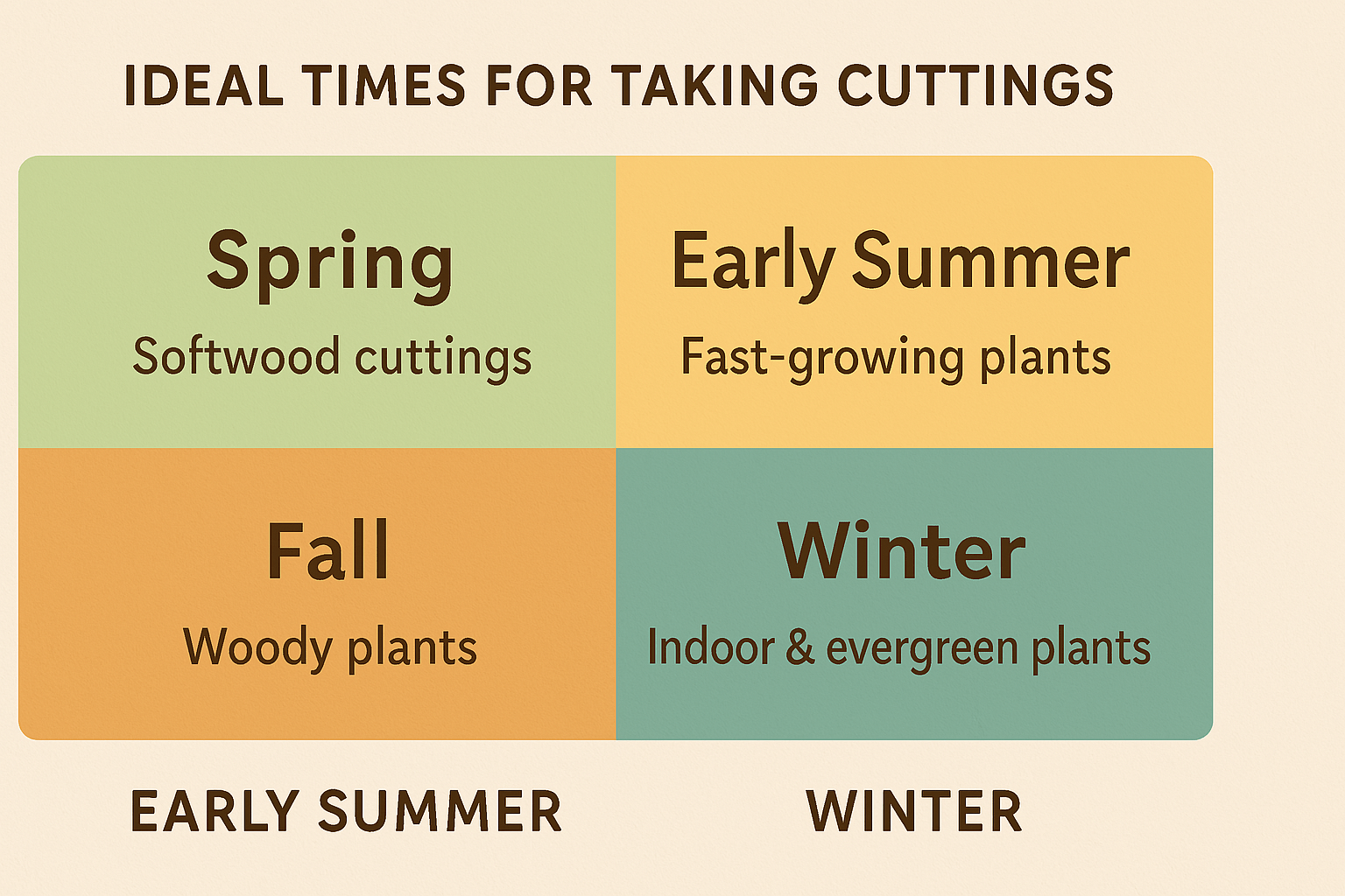 Chart detailing the best times for taking plant cuttings: Spring for softwood, early summer for fast-growing, fall for woody plants, winter for indoor and evergreen.