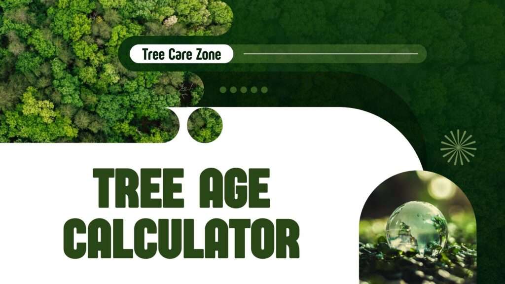 Tree Age Calculator