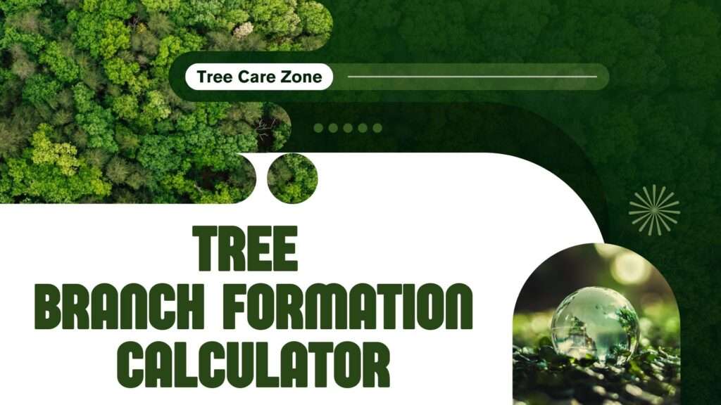 Tree Branch Formation Calculator