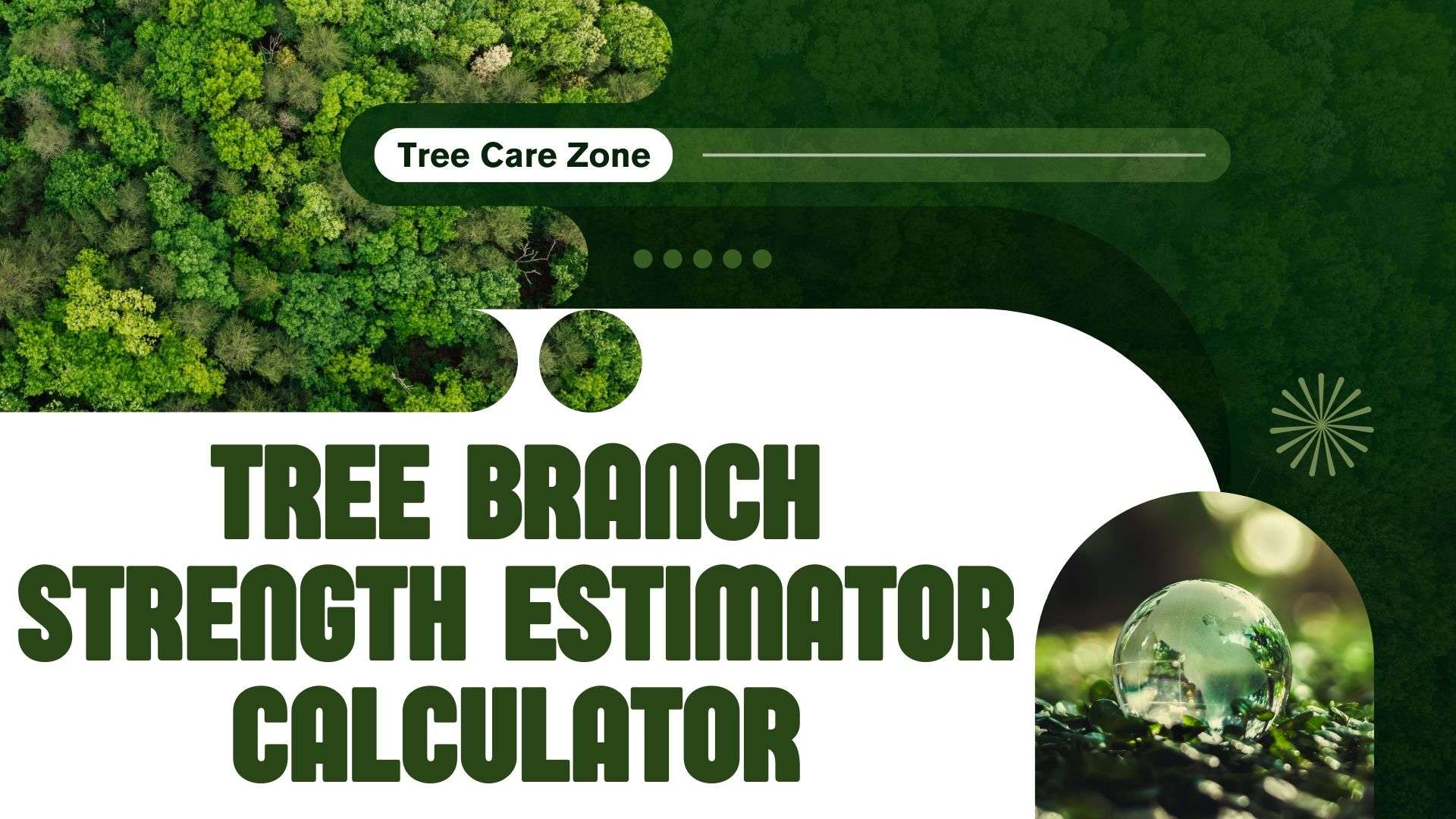 Tree Branch Strength Estimator Calculator | Tree Care Zone