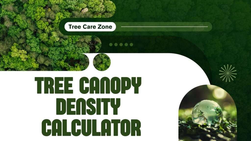Tree Canopy Density Calculator