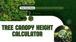 Tree Canopy Height Calculator