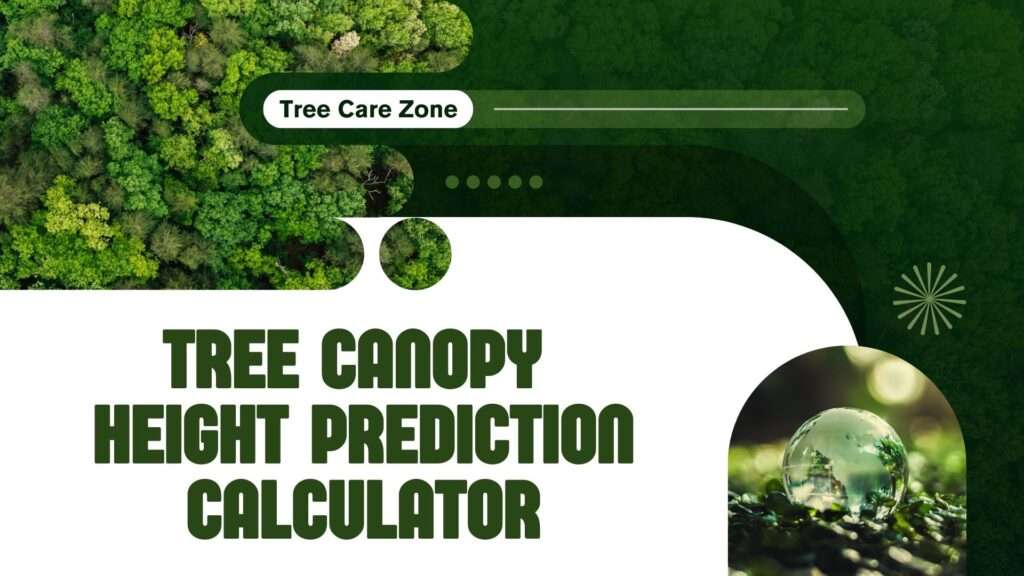 Tree Canopy Height Prediction Calculator