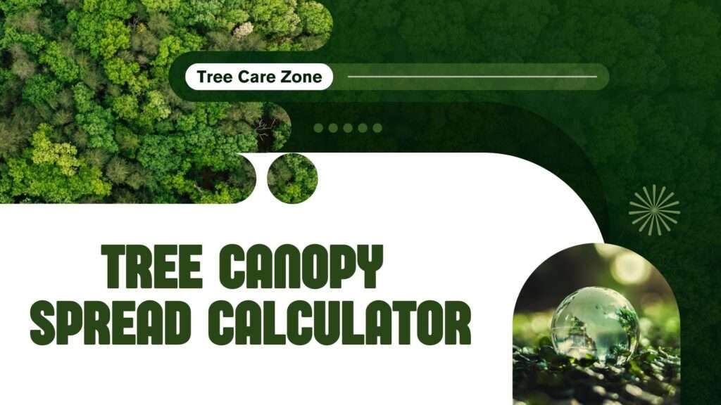 Tree Canopy Spread Calculator