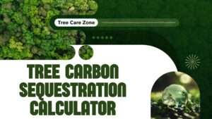 Tree Carbon Sequestration Calculator
