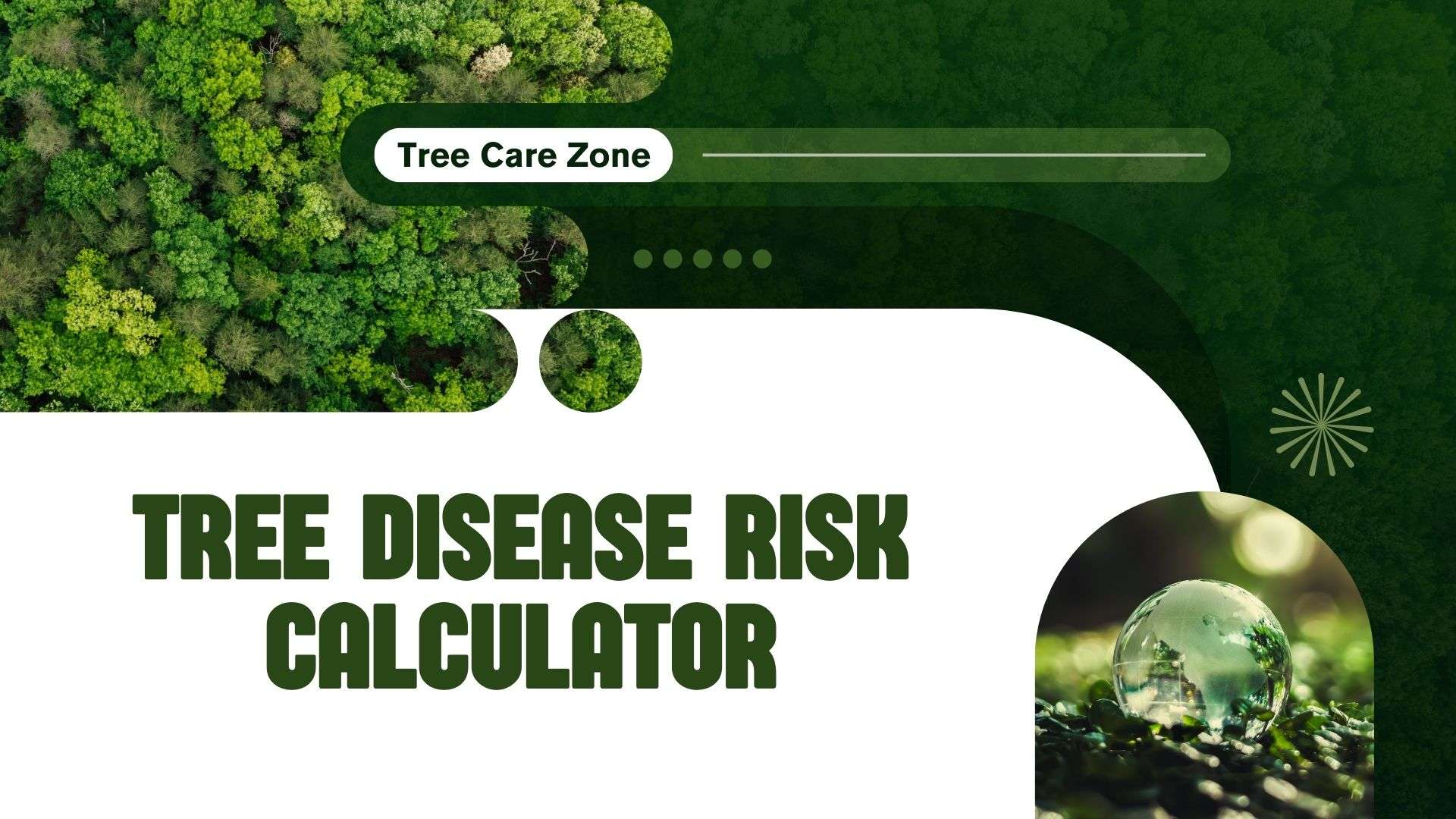 Tree Disease Risk Calculator: Assess Tree Health Risks
