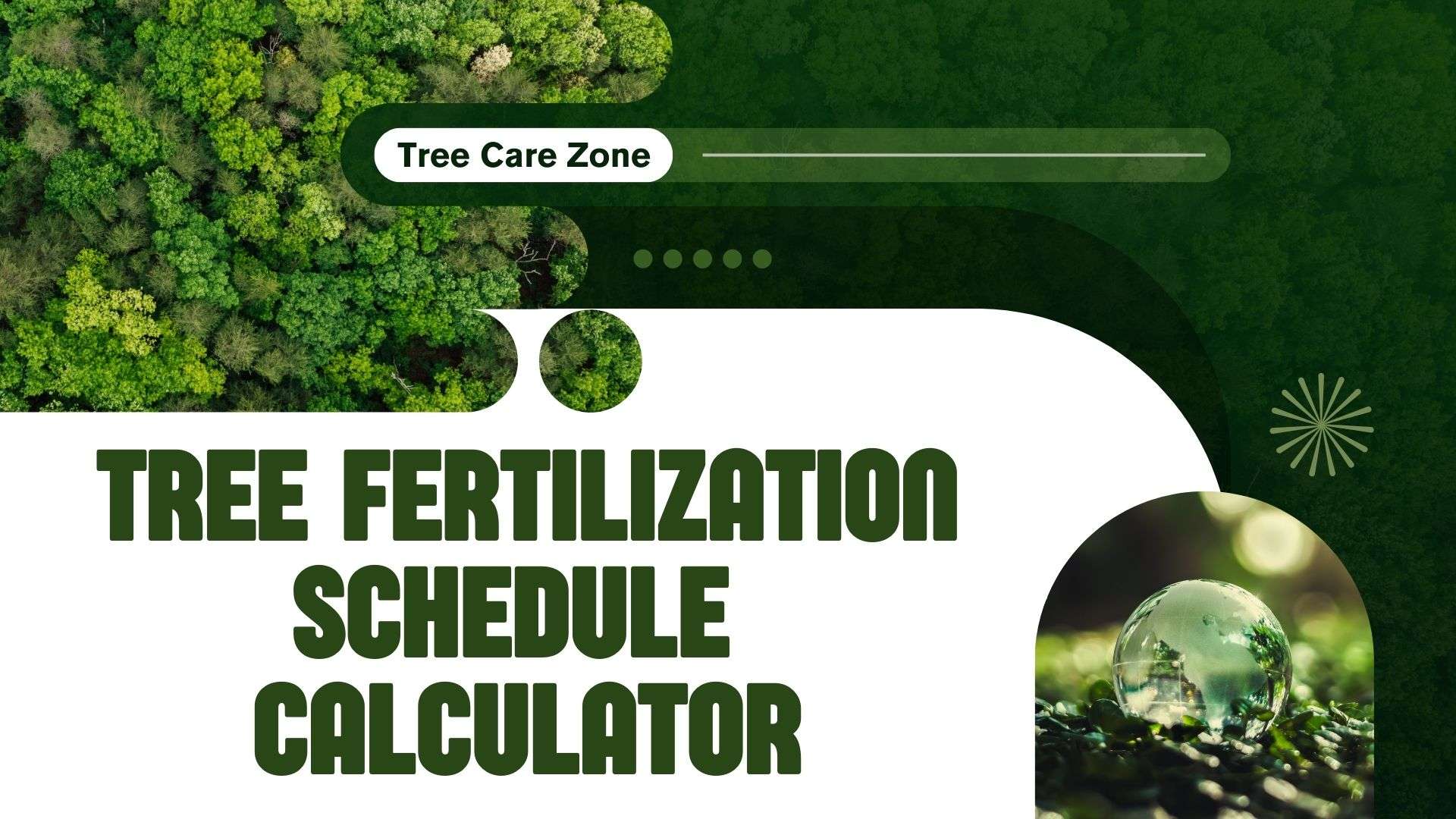 Tree Fertilization Schedule Calculator for Trees