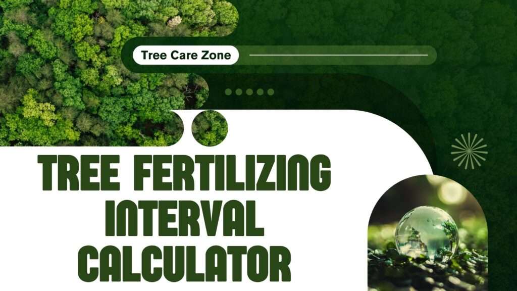 Tree Fertilizing Interval Calculator
