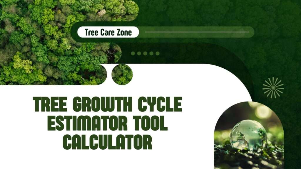 Tree Growth Cycle Estimator Tool Calculator