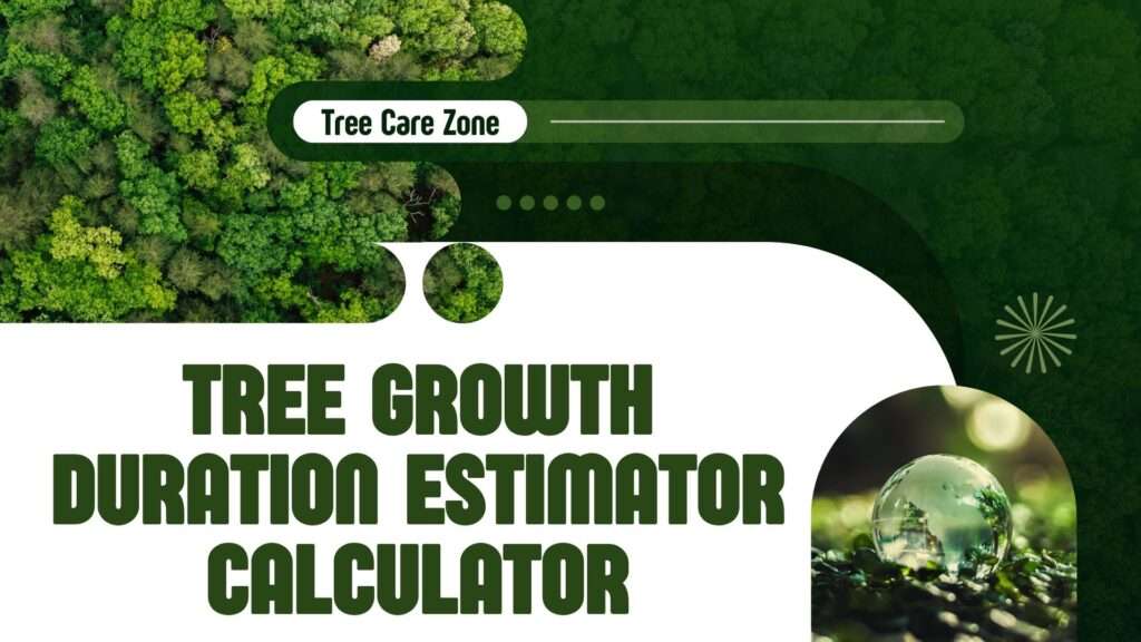 Tree Growth Duration Estimator Calculator