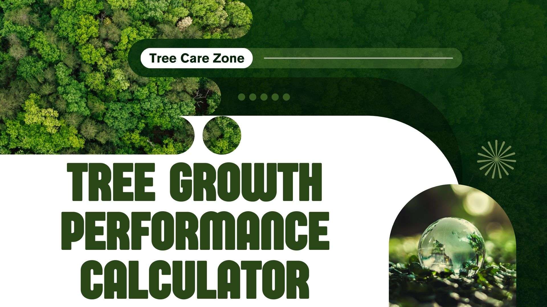 Tree Growth Performance Calculator for Trees