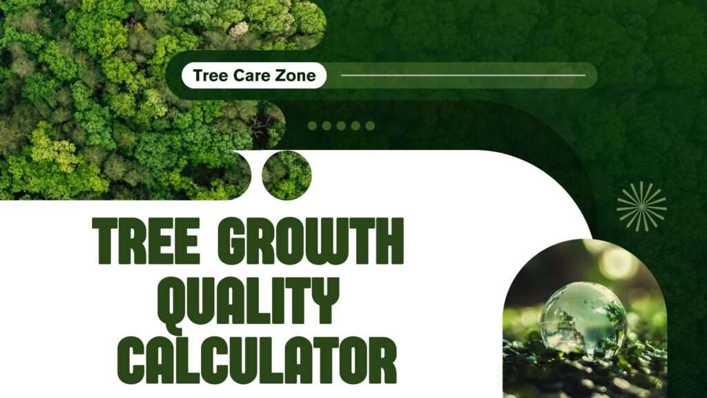 Tree Growth Quality Calculator