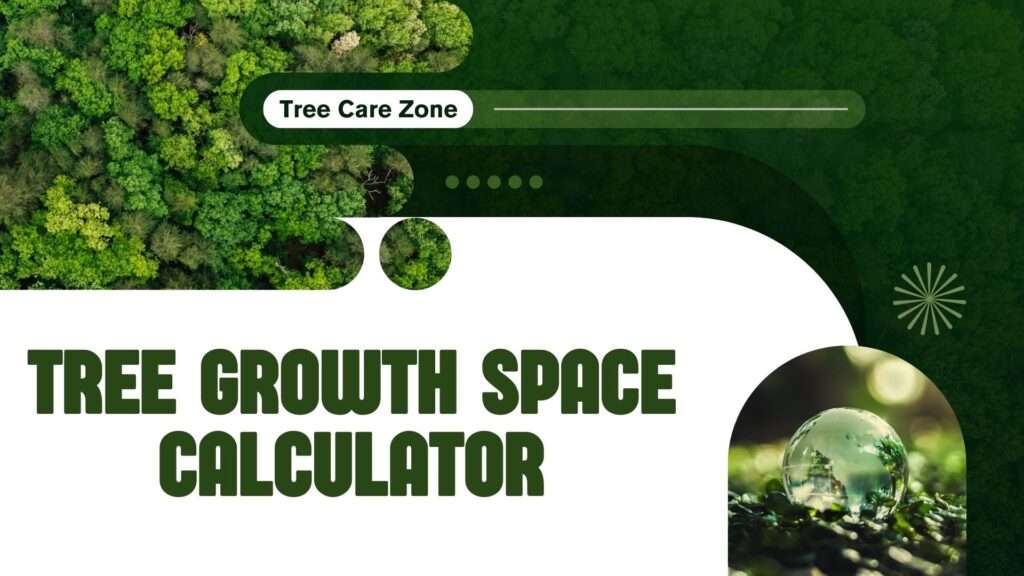 Tree Growth Space Calculator