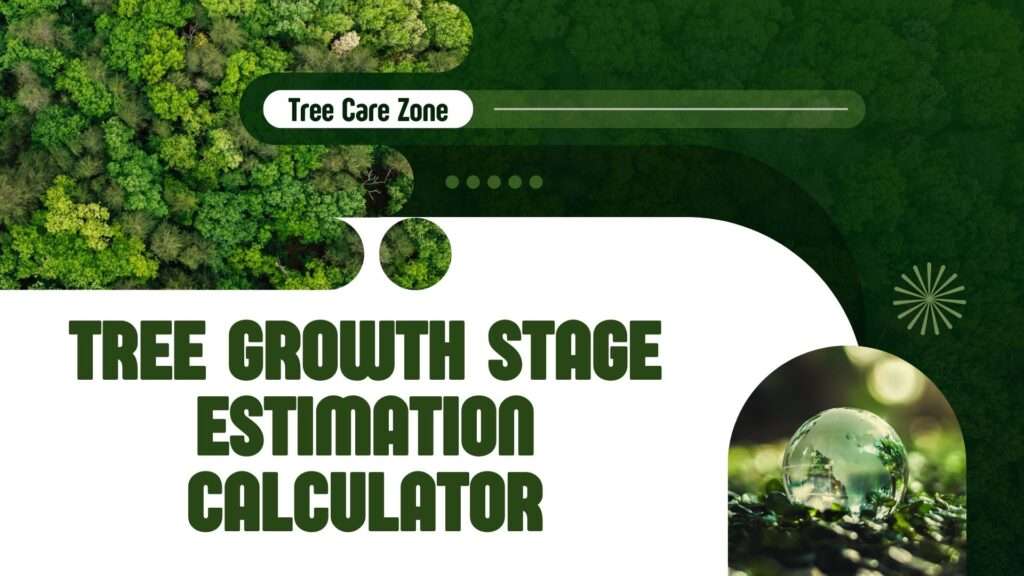 Tree Growth Stage Estimation Calculator