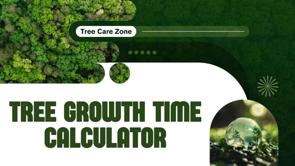 Tree Growth Time Calculator