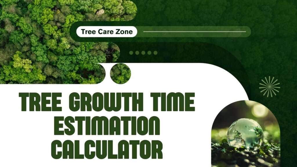 Tree Growth Time Estimation Calculator