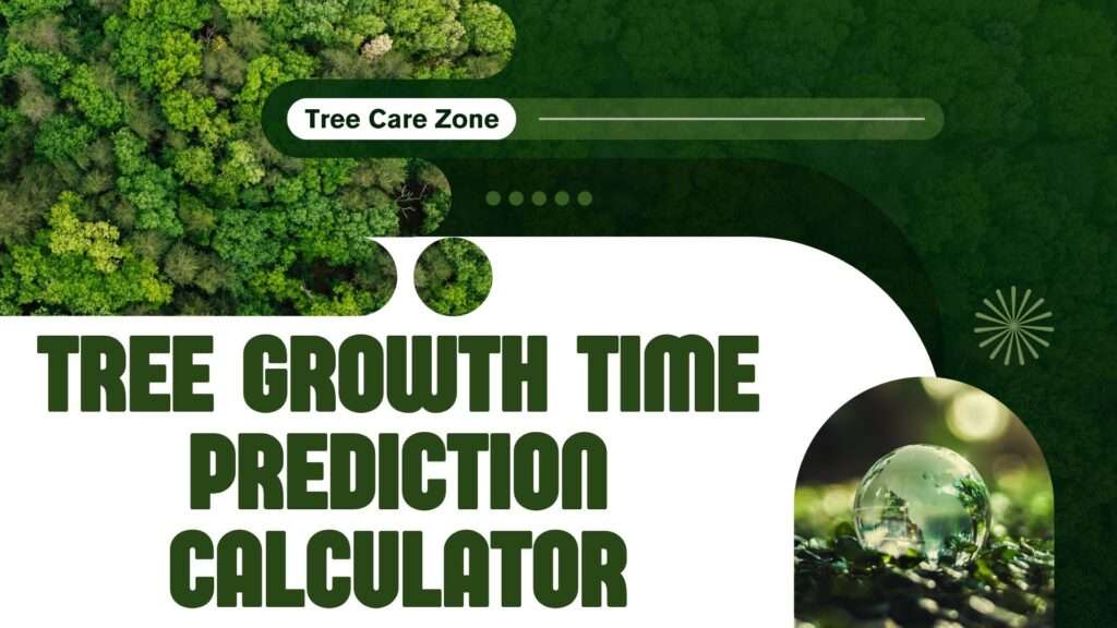 Tree Growth Time Prediction Calculator