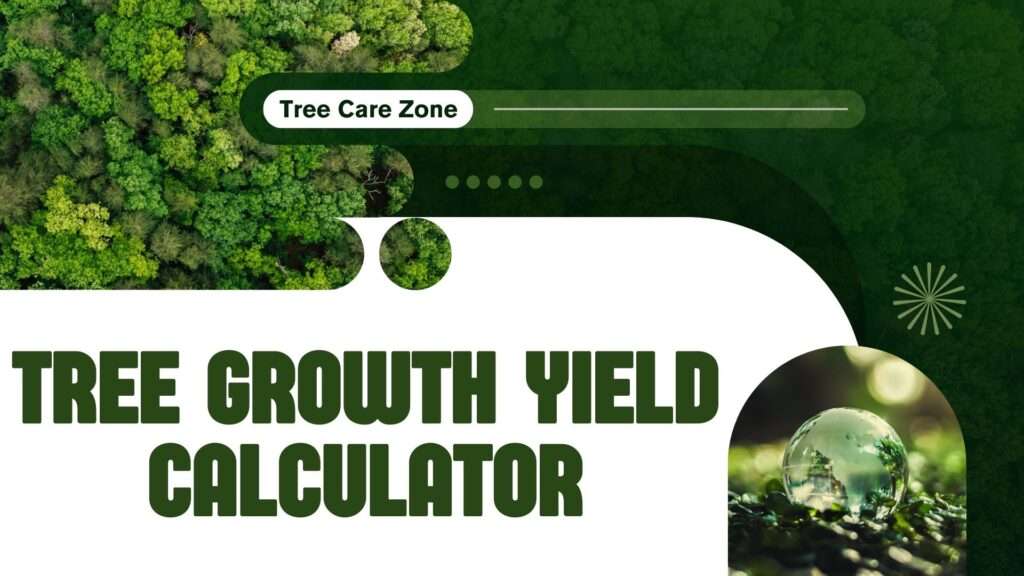 Tree Growth Yield Calculator