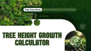 Tree Height Growth Calculator