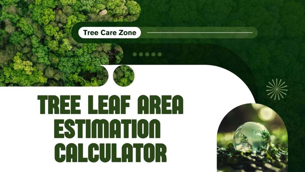 Tree Leaf Area Estimation Calculator